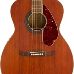 Fender Semi Acoustic Guitars 1 Fender semi-acoustic guitar
