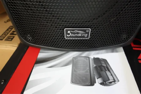 Soundking FP208 in Nairobi