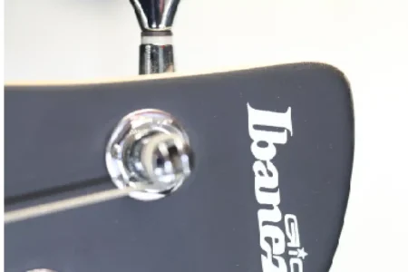 Professional bass guitars Nairobi