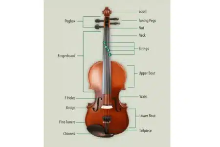 Violin Instrument 101: Best Guide To All Level Players 4 violin instrument anatomy