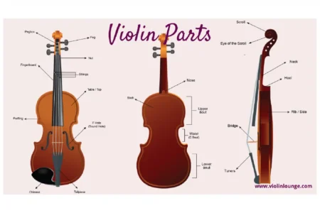 Violin Instrument 101: Best Guide To All Level Players 3 violin instrument