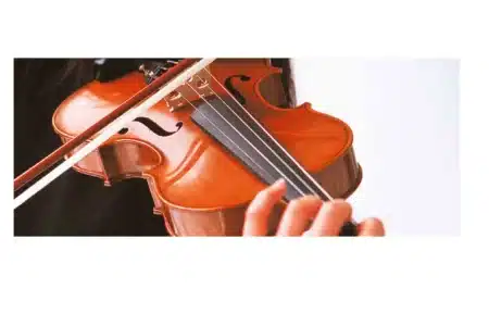 Violin Instrument 101: Best Guide To All Level Players 2 violin instrument
