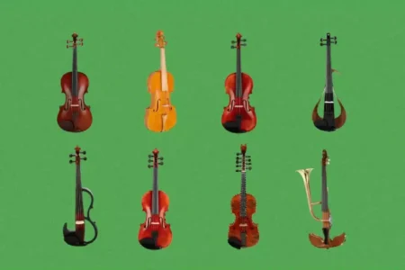 Violin Instrument 101: Best Guide To All Level Players 7 violin instrument