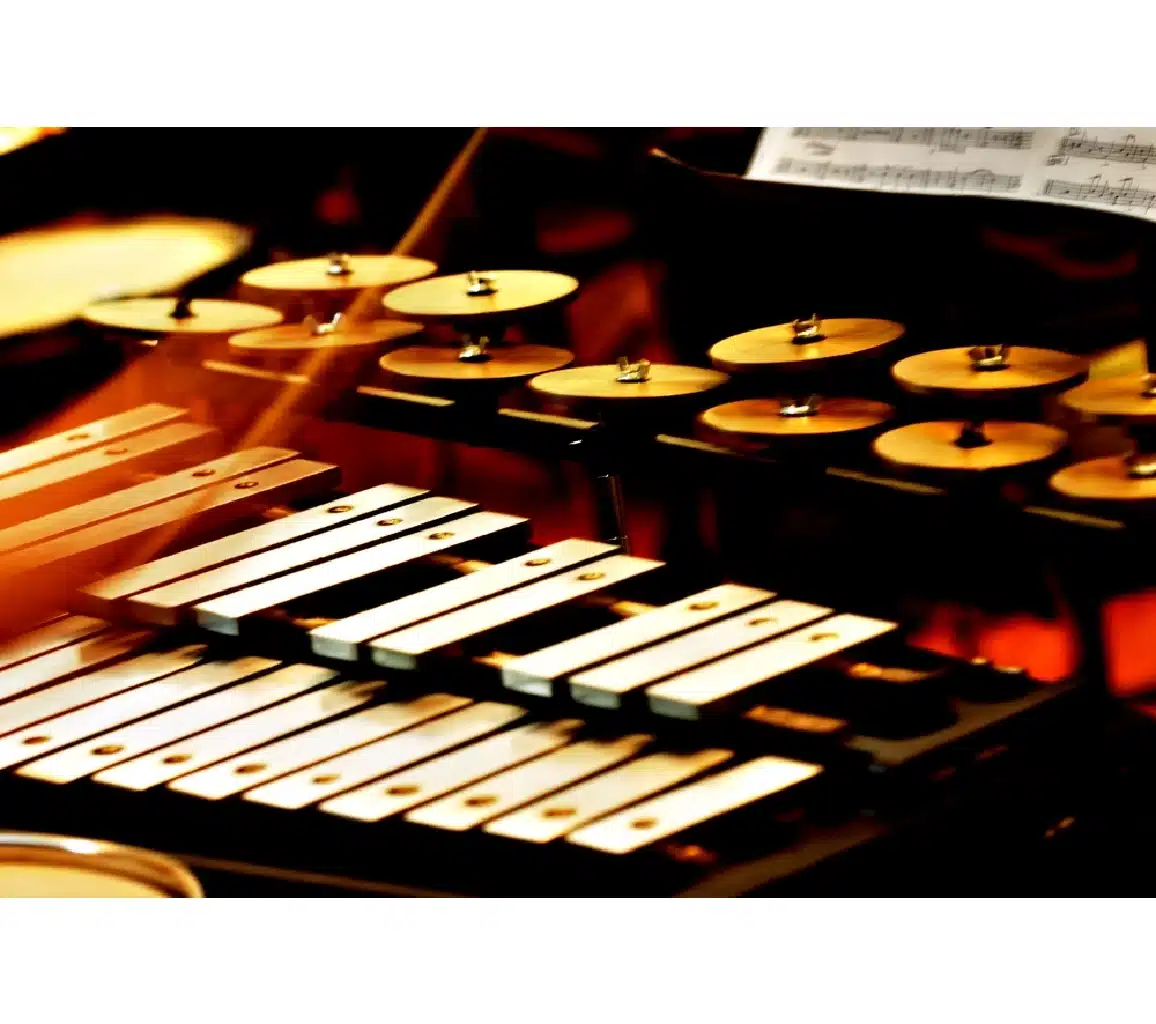 tuned percussion instruments