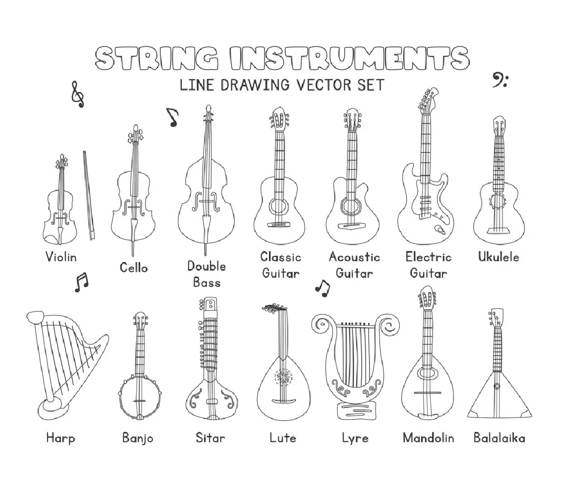Quality String Instruments: From 1st To The Last Beat 4 string instrument types